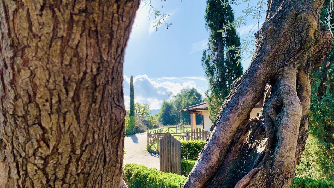 Casa In Maremma Tuscany Village Скарлино Екстериор снимка